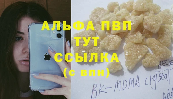 ГАЛЛЮЦИНОГЕННЫЕ ГРИБЫ Богданович