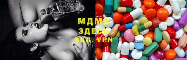 ГАЛЛЮЦИНОГЕННЫЕ ГРИБЫ Богданович