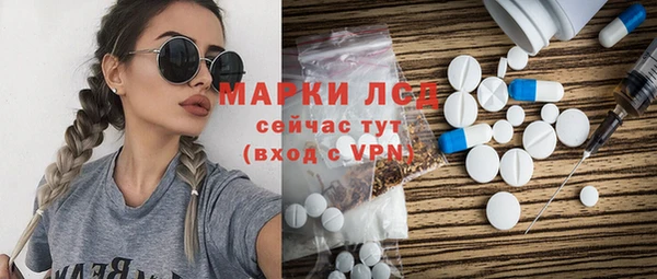 ГАЛЛЮЦИНОГЕННЫЕ ГРИБЫ Богданович