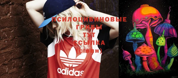 мет Богородицк