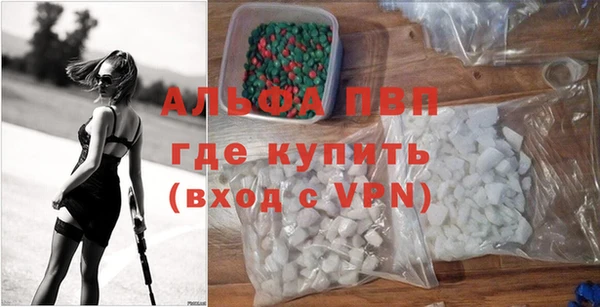 ГАЛЛЮЦИНОГЕННЫЕ ГРИБЫ Богданович