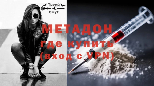 ГАЛЛЮЦИНОГЕННЫЕ ГРИБЫ Богданович