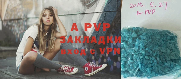 ГАЛЛЮЦИНОГЕННЫЕ ГРИБЫ Богданович