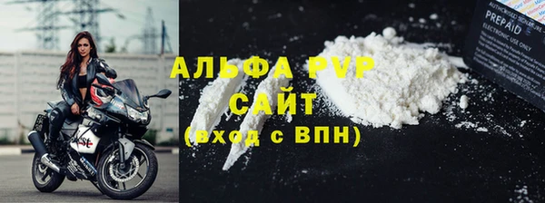 ГАЛЛЮЦИНОГЕННЫЕ ГРИБЫ Богданович