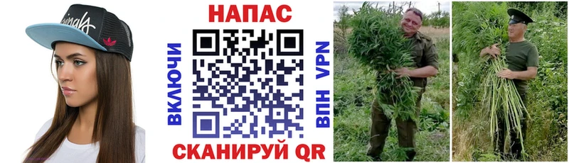Каннабис MAZAR продажа наркотиков Великие Луки